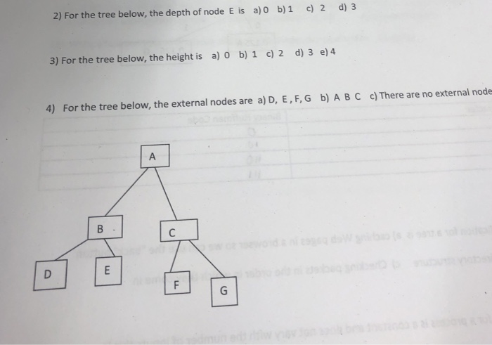  2) For the tree below, the depth of node E is