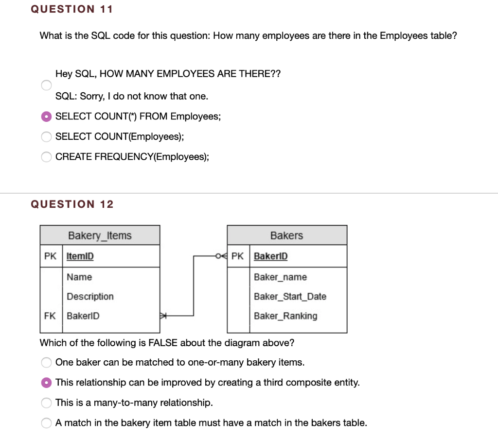  QUESTION 11 What is the SQL code for this question: How