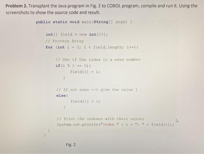  Problem 2. Transplant the Java program in Fig. 2 to COBOL