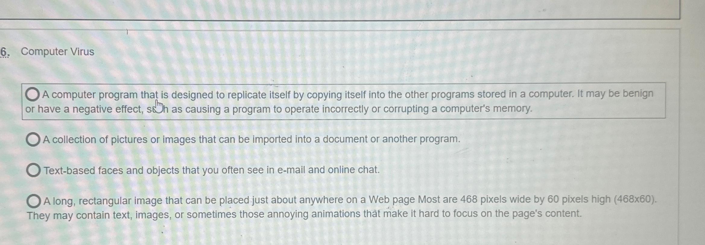  Computer Virus A computer program that is designed to replicate itself