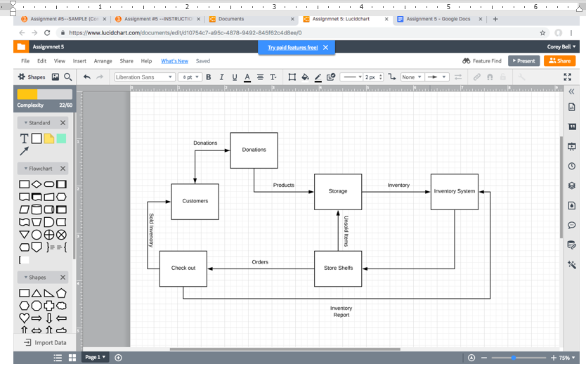 Please Help! I am in a Computer Science Systems & Procedures Class,