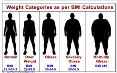 solve the problem, design and develop a program using array. Array Instructions: