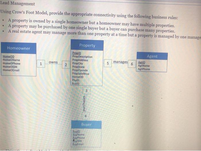  Lead Management Using Crow's Foot Model, provide the appropriate connectivity using