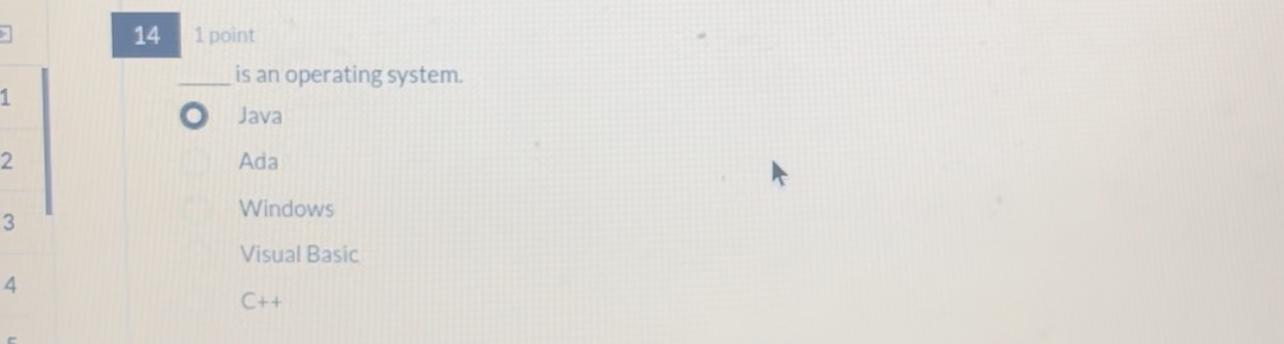  14 1 point is an operating system. Java Ada Windows Visual