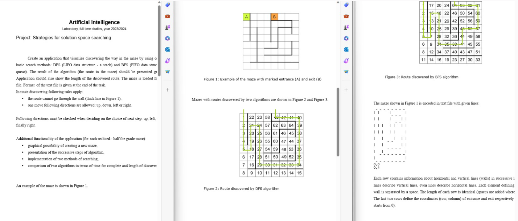  Project: Strategies for solution space searching in JAVA Create an application