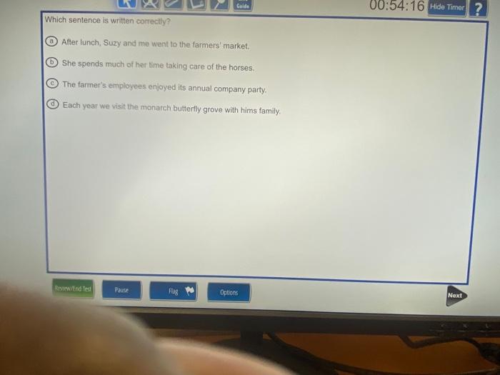  00:54:16 Hide Timer ? . Which sentence is written correctly? After