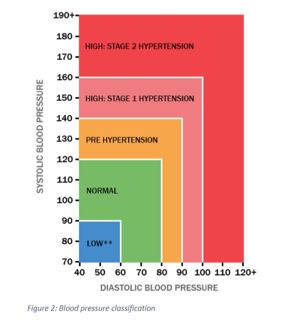 this lab, you will work in groups of 2 to write simple