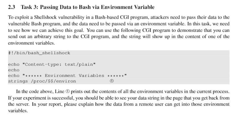  2.3 Task 3: Passing Data to Bash via Environment Variable To