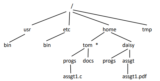 File Management For example, in an Operating System there are directories and