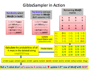 of k-mer and N Hint: You can use Matlab syntax seqprofile to