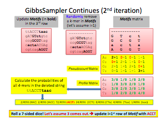 obtain the Profile of a Motifs matrix 2 points) Write a Matlab