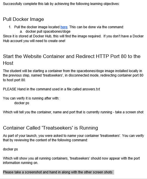 AWS AMAZON WEB SERVICES Successfully complete this lab by achieving the following