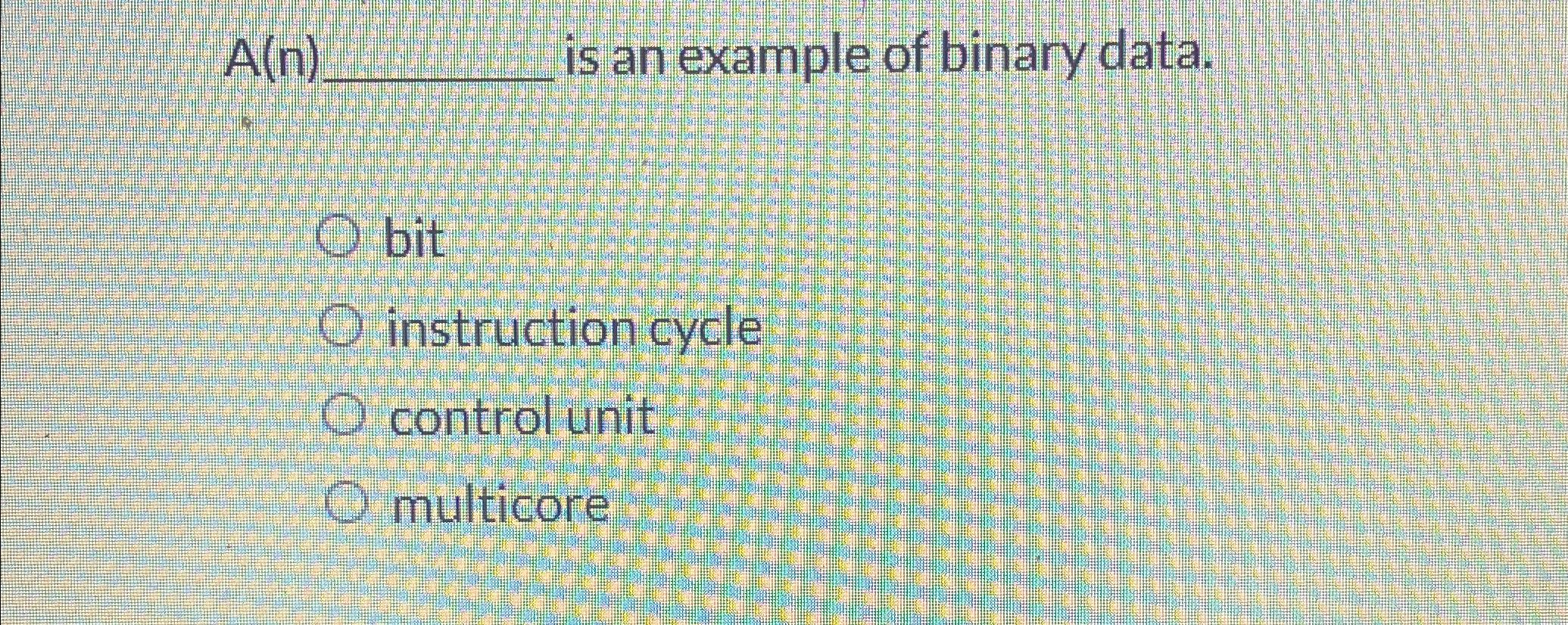  A(n) is an example of binary data. bit instruction cycle control