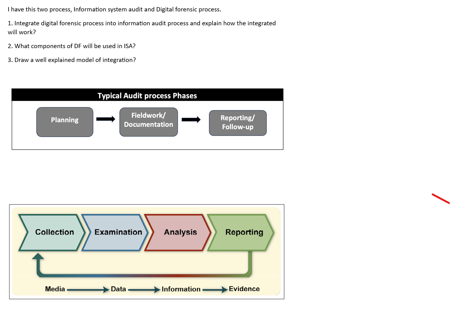  I have this two process, Information system audit and Digital forensic