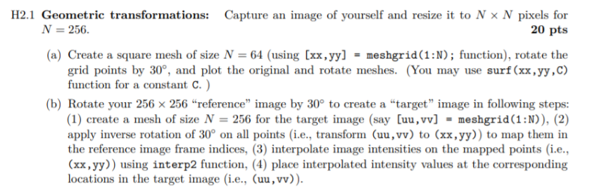 Program this in Matlab H2.1 Geometric transformations: Capture an image of yourself