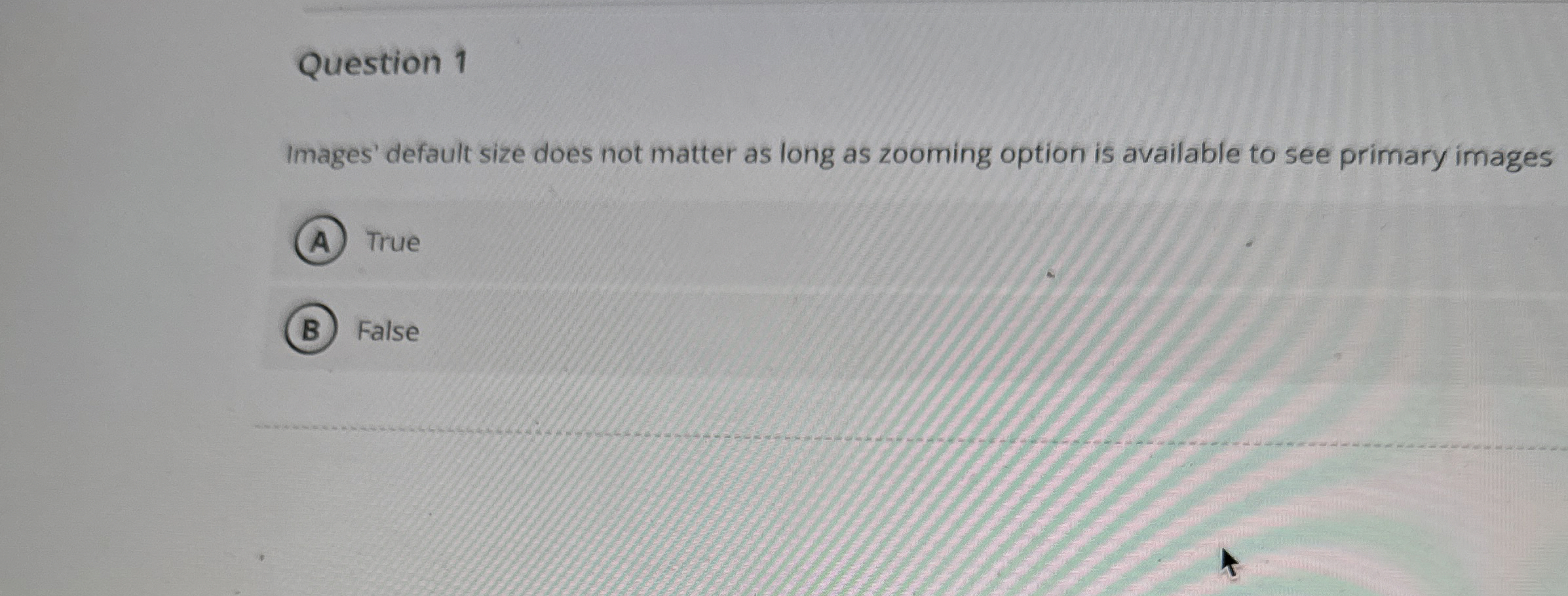  Question 1 Images' default size does not matter as long as