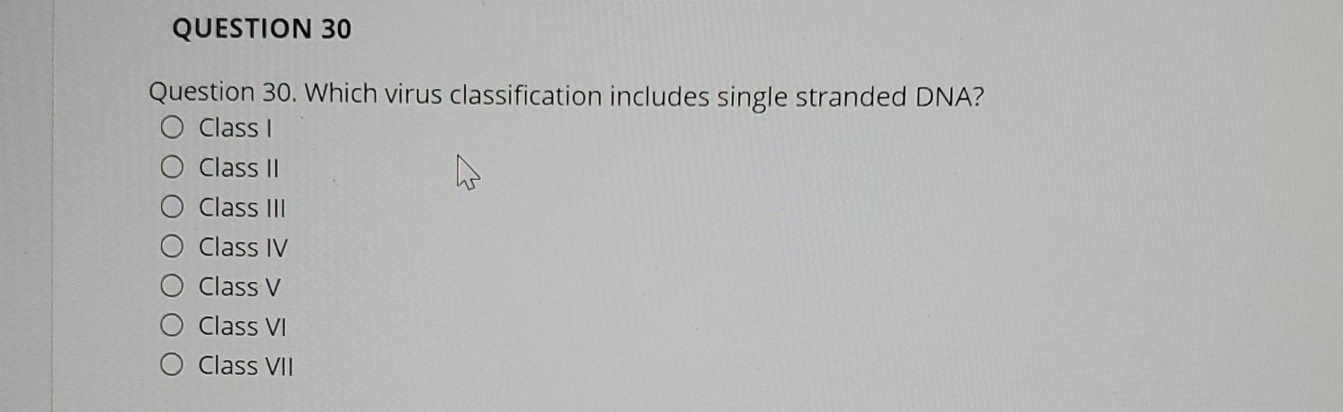  QUESTION 30 Question 30. Which virus classification includes single stranded DNA?