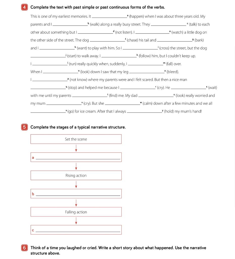 4 Complete the text with past simple or past continuous forms