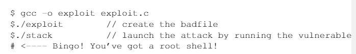 /* Lab Exercise - Buffer Overflow */ /* This program has an