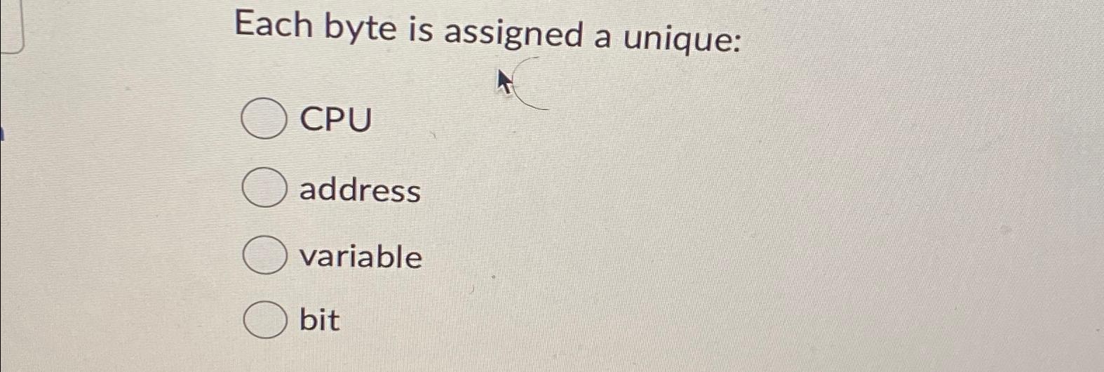  Each byte is assigned a unique: CPU address variable bit 