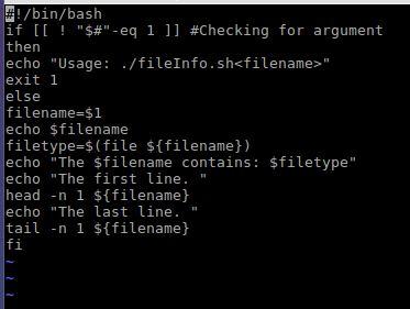 my first shell script. I'm using vi and can create and save