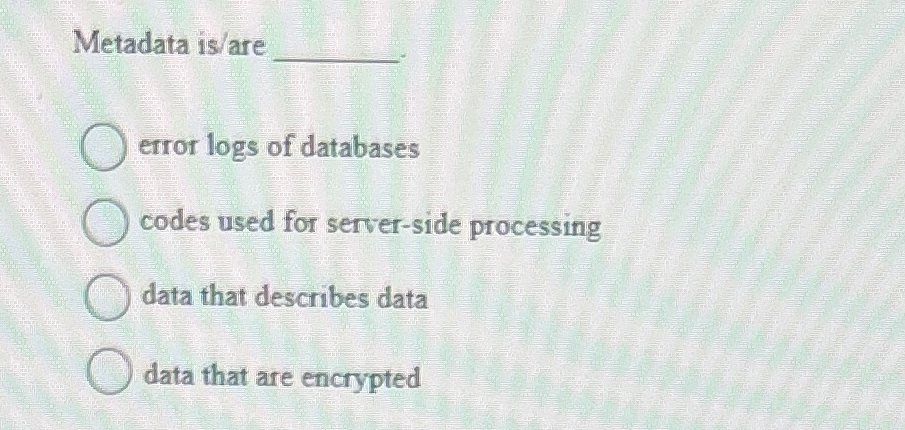  Metadata is/are error logs of databases codes used for server-side processing
