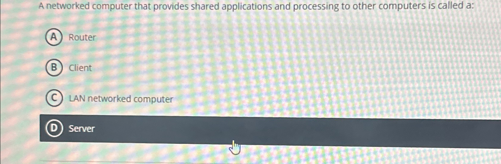  A networked computer that provides shared applications and processing to other