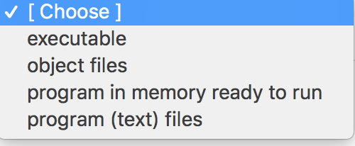  [Choose ] executable object files program in memory ready to run