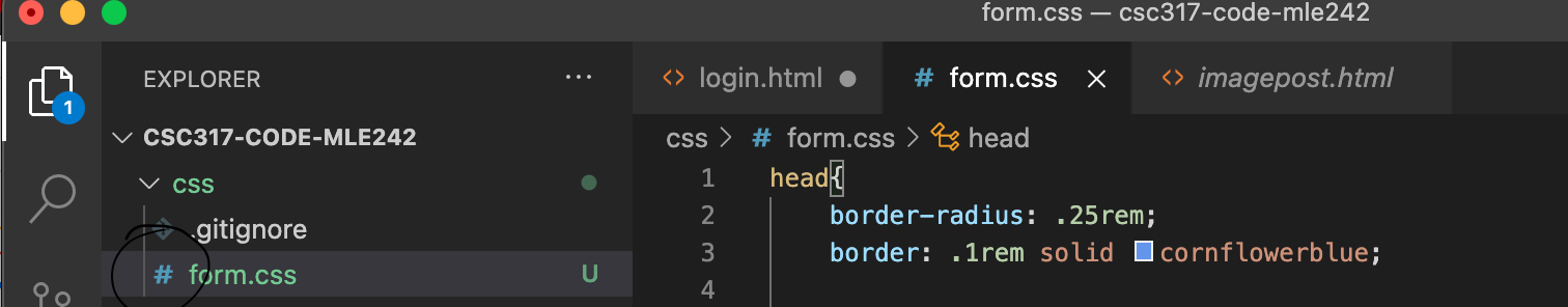 why does my .css file show as a hashtag (#) and not