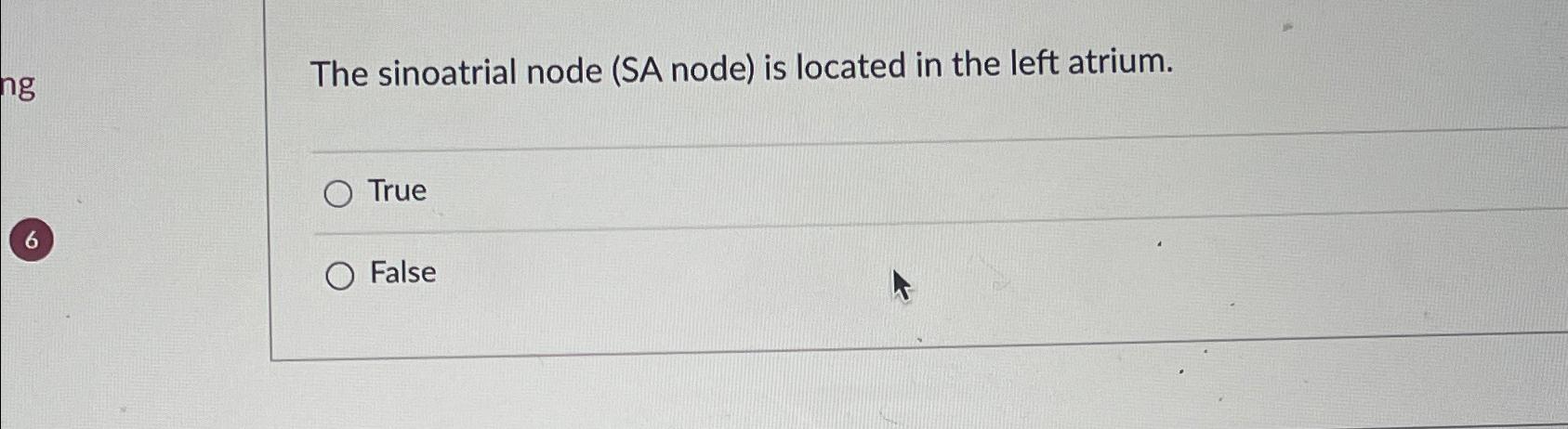  The sinoatrial node (SA node) is located in the left atrium.