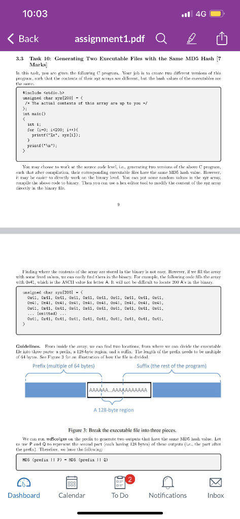  3.3 Task 10: Generating Two Executable Files with the Same MD5