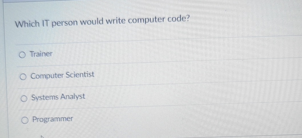  Which IT person would write computer code? Trainer Computer Scientist Systems