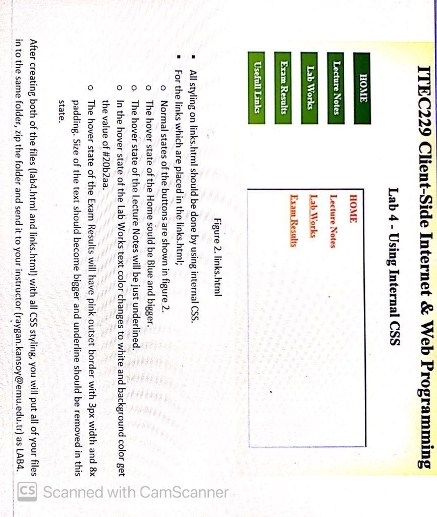 image text in transcribed