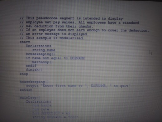  I need help debugging this code. please explain what is wrong