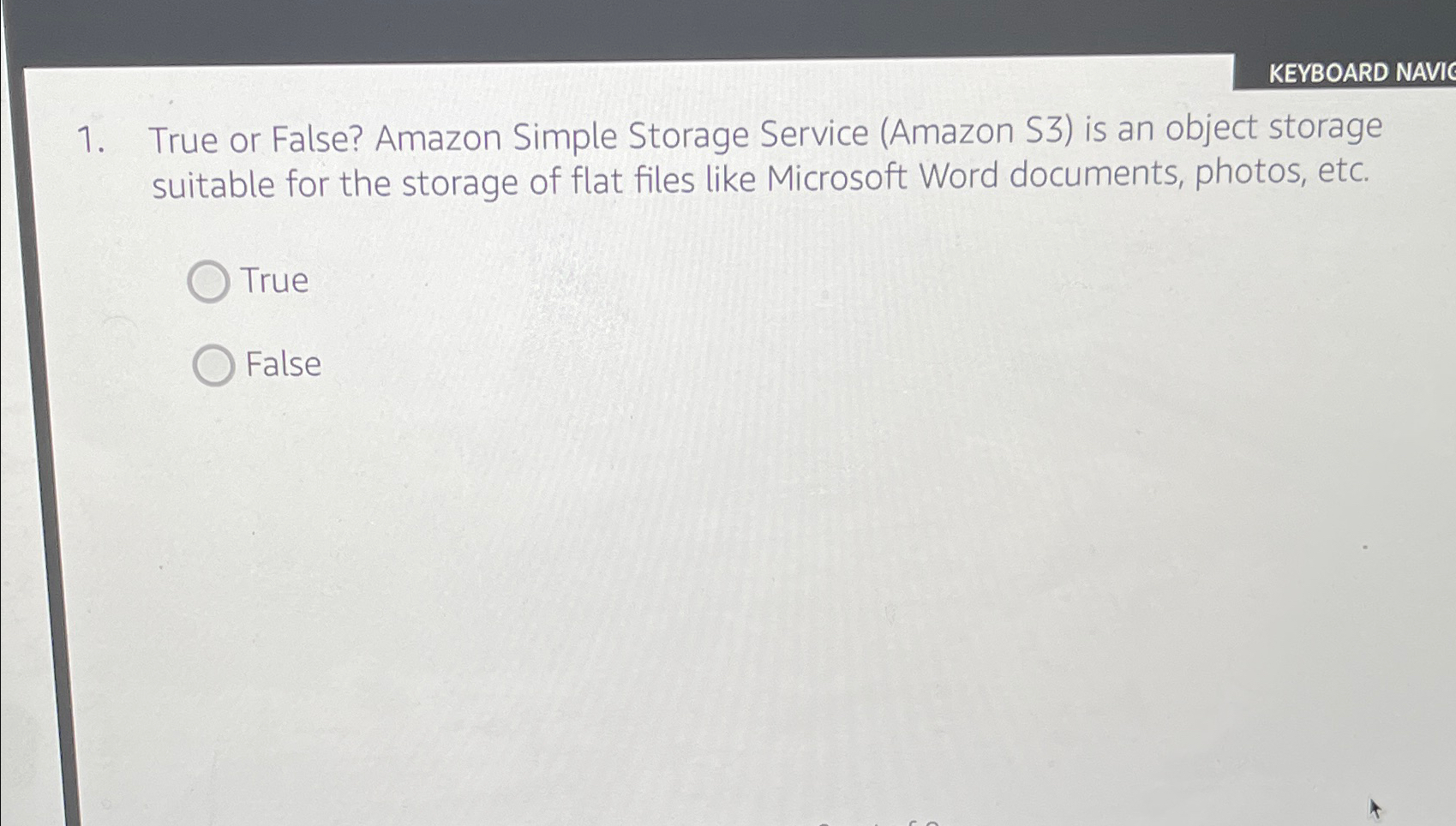  True or False? Amazon Simple Storage Service (Amazon S3) is an