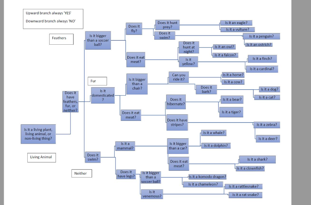 so much. 1) is for a living plant. 2) This one is