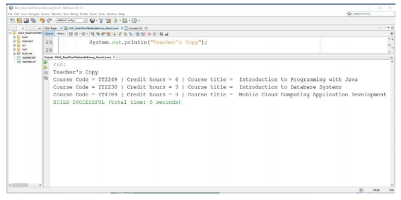 Design and code a Java console application that reads a text file