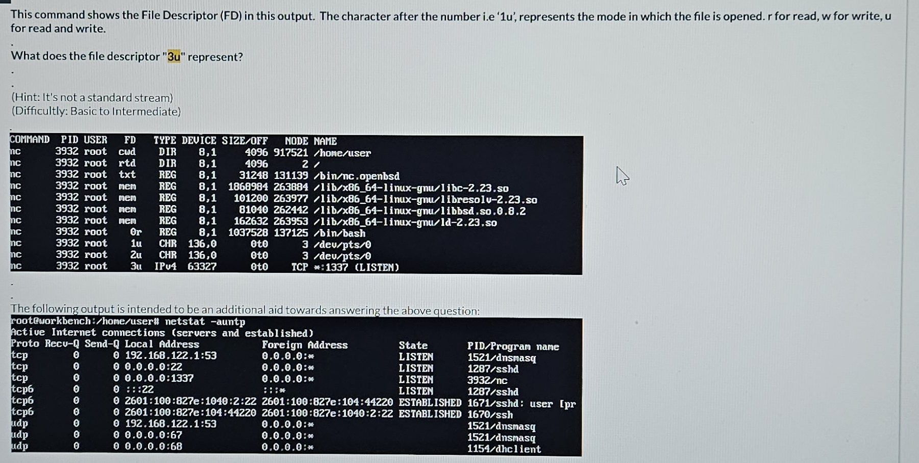  This command shows the File Descriptor (FD) in this output. The