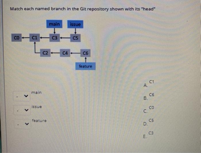 software engineering Match each named branch in the Git repository shown with