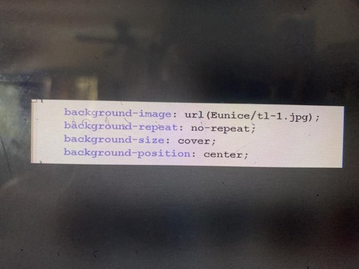 the css file cannot load the image i put background-image: url (Eunice/tl-1.jpg)