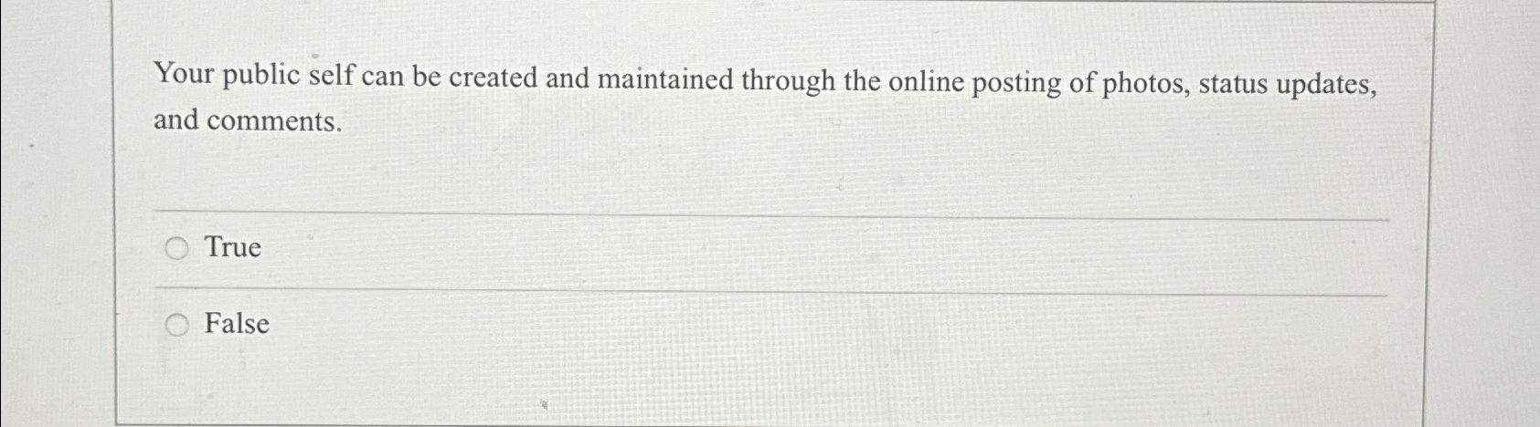  Your public self can be created and maintained through the online