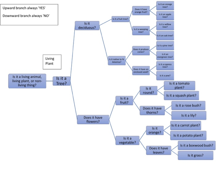 And whats going to be in the program is in if statement