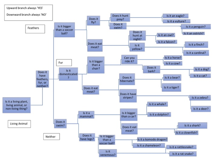and boolean is to check. Overview In this assignment you'll be creating