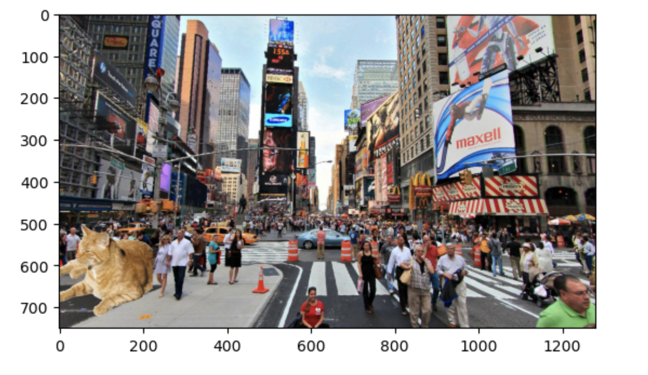 Problem 1 Cat in street(45 pts): for Python 3.9 Fill in the