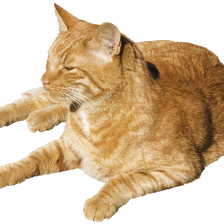 as follows: Please write your code in the notebook cell I indicated.