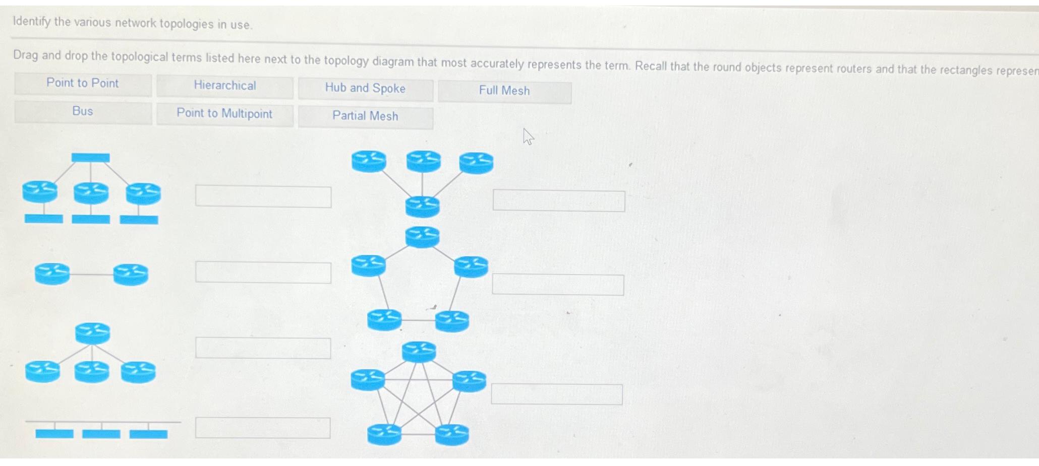  Identify the various network topologies in use. 