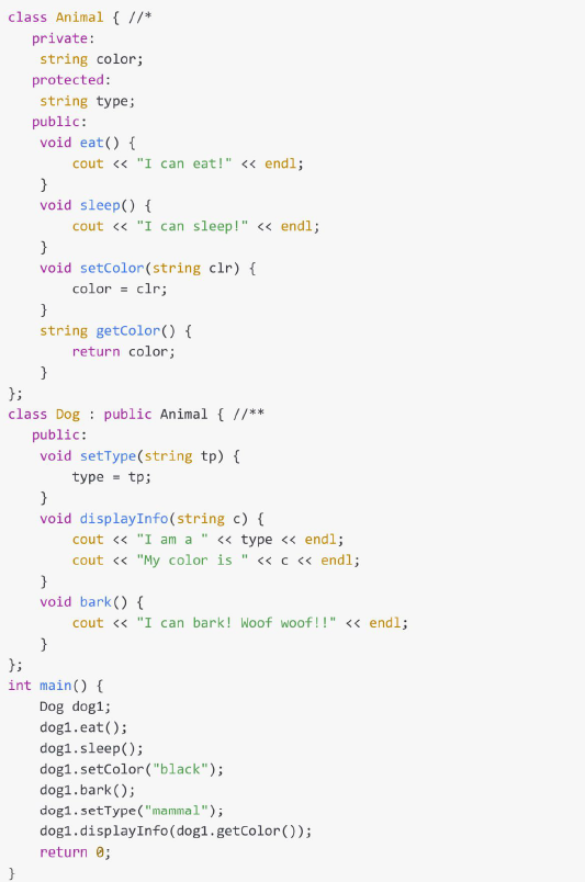  explain the code // explain where //* is what is the