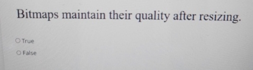  Bitmaps maintain their quality after resizing. True False 