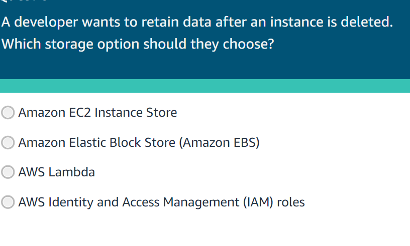  A developer wants to retain data after an instance is deleted.