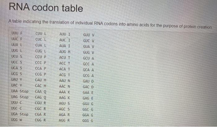 a population possessing a specific genotype pairing, such as AA-AA (both homozygous